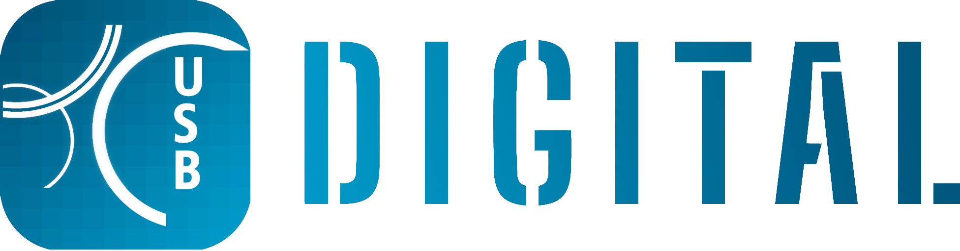 USB Digital Logo